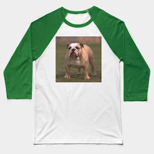 Bulldog fawn and white second Baseball T-Shirt